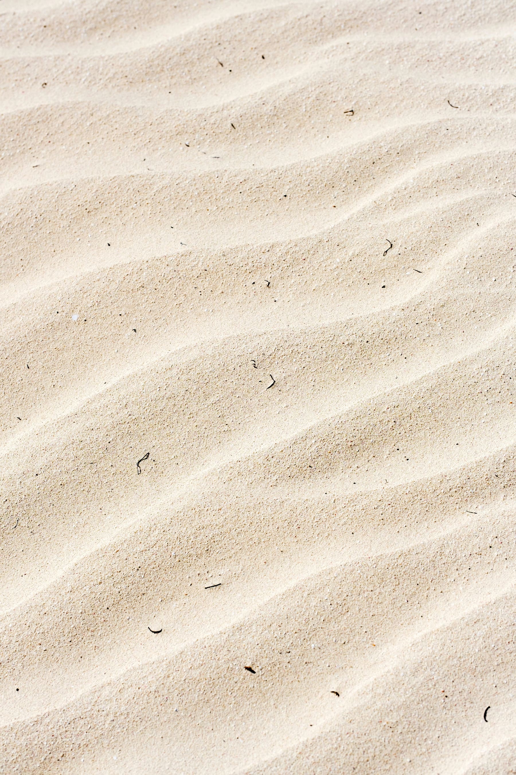 Textura de areia ondulada, referência visual do projeto