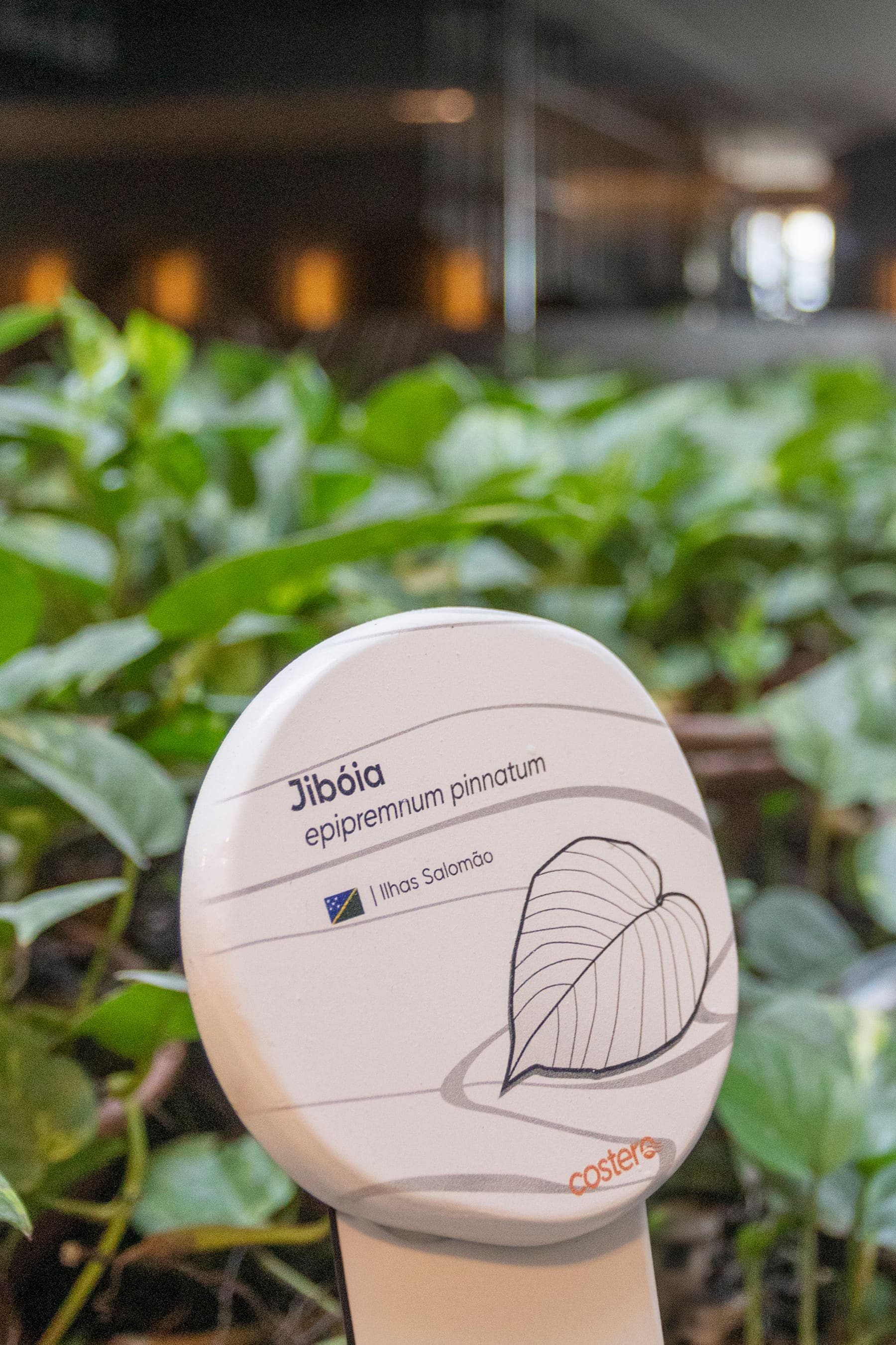 Placa de identificação paisagística da Jibóia