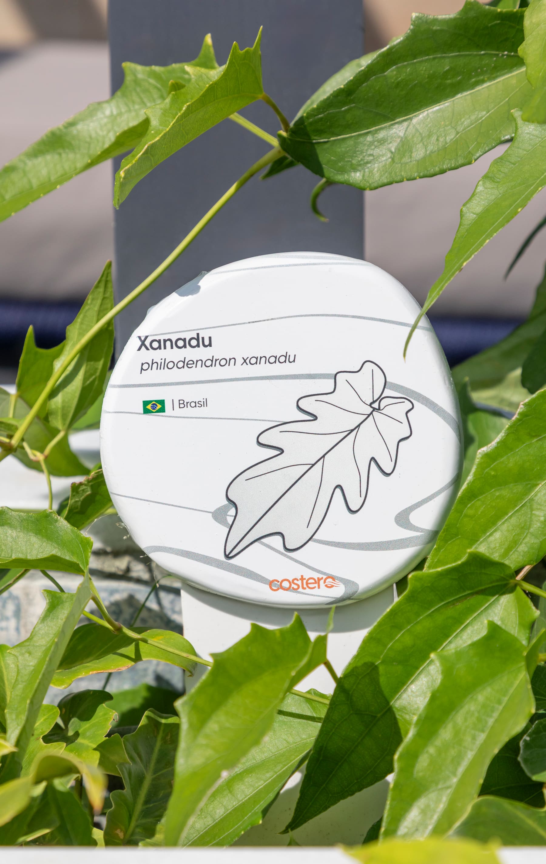 Placa de identificação paisagística da Xanadu
